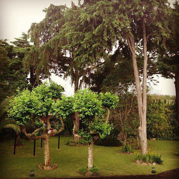 Quinta De Sao Francisco Hotel ซินตรา ภายนอก รูปภาพ